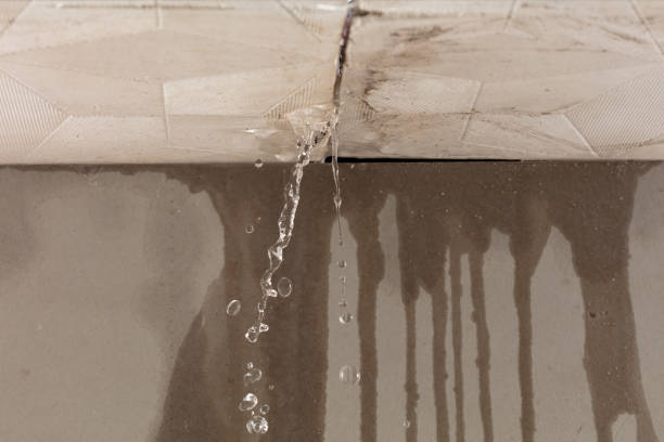 Professional Flood Damage Cleanup technician working in Florence, AL